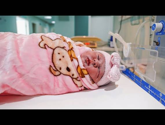 Parto Cesárea de Nascimento Lívia Sophia 