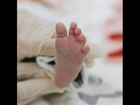 Parto Cesárea de Nascimento Eloah