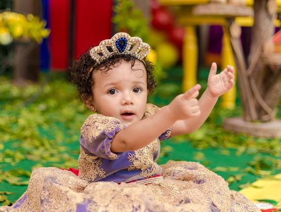 Festas Infantis de 1 ano Sophia