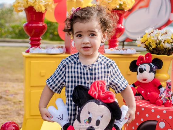 Festas Infantis de 2 anos da Lara