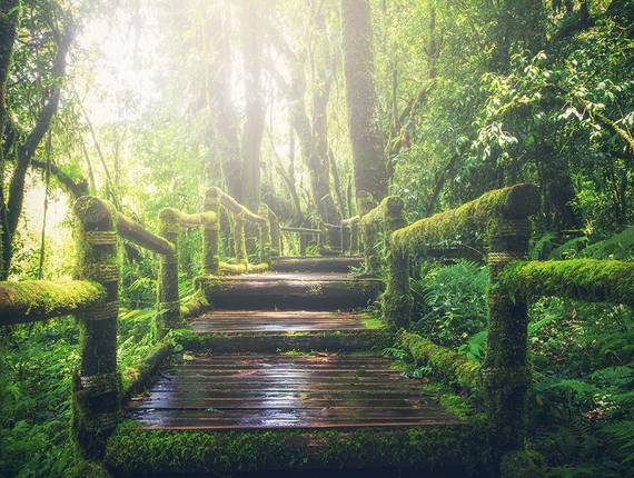 Natureza de Just Stay There