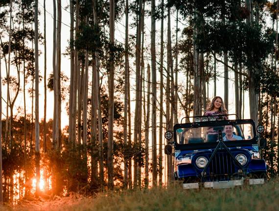 Ensaio Casal - Pré-wedding de Pré Wedding em Rio do Sul e Urubici, SC