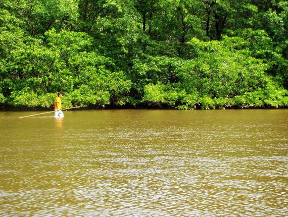 Landscape de Paisagens