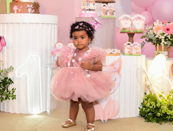 Aniversário Infantil de Alice Primeiro Aninho