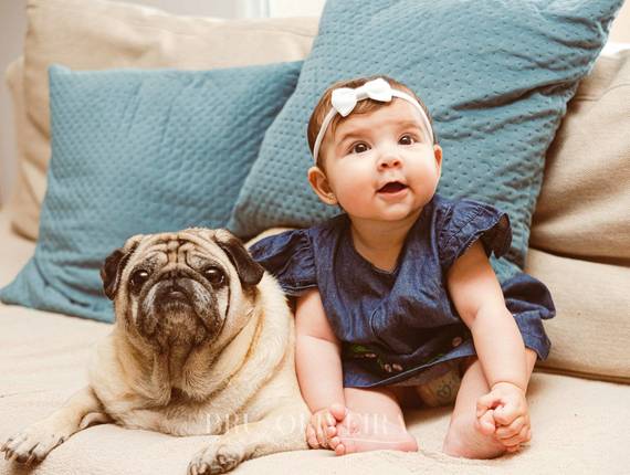 Famílias de Liz 6 meses - Sessão Life Style