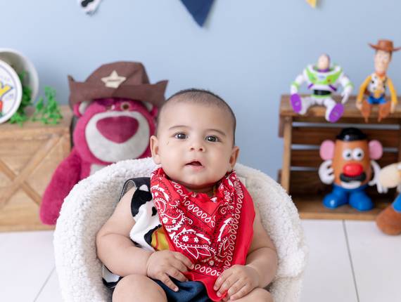 Bebê de Theo | Toy Story | 5 meses