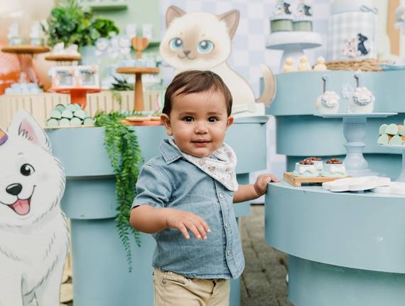 Fotografia de Aniversário Infantil  de Fotografia de Aniversário Infantil em Mogi das Cruzes | 1 Ano do Benício