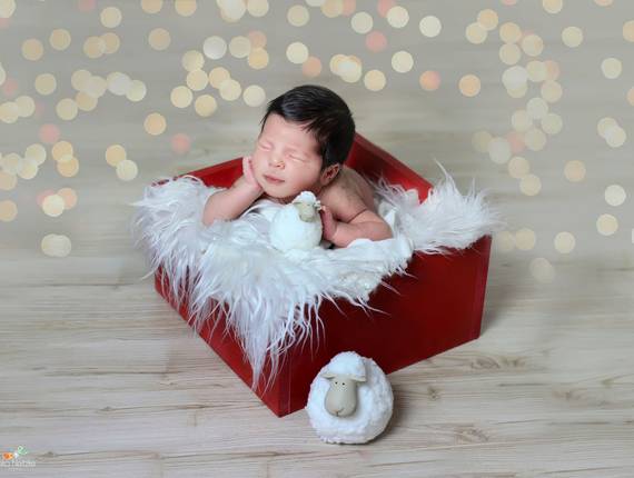 Newborn de Daniel  11 dias