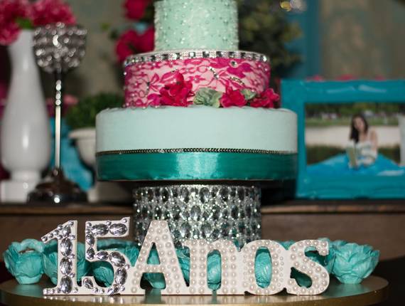 15 anos de Janaine