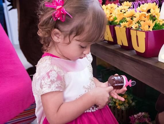 Aniversário Infantil de Manu fez 02