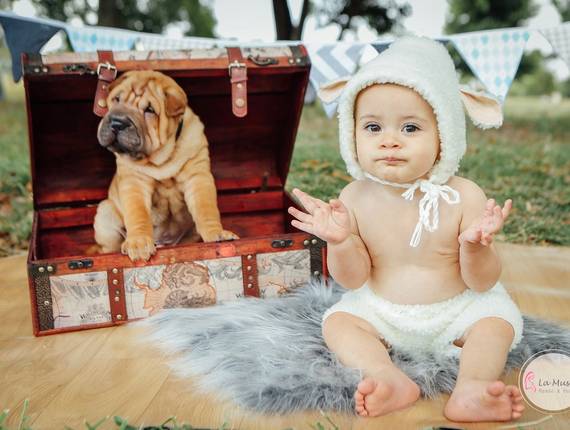 Smash The Cake de Alecssandro 1 aninho