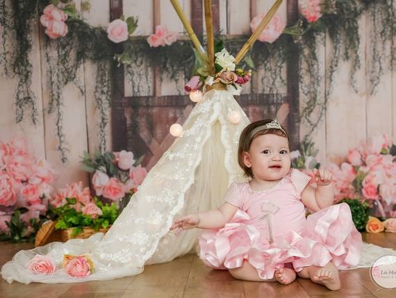 Smash The Cake de Luna 1 ano 