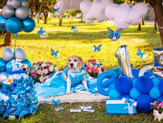 Aniversário Pet de Maria Wilma 15 Anos