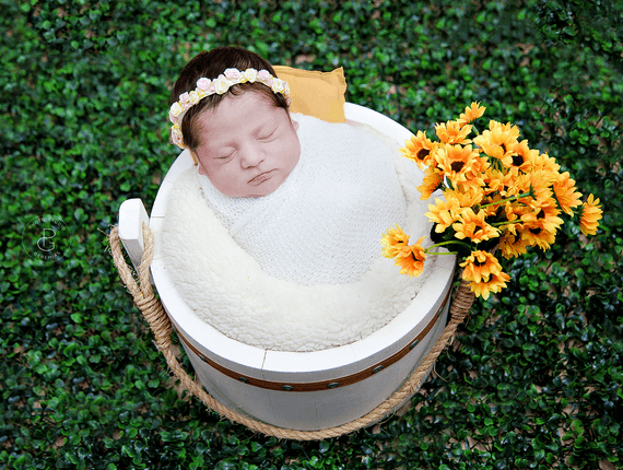 Newborn de Newborn Maria Cecília- 13 dias