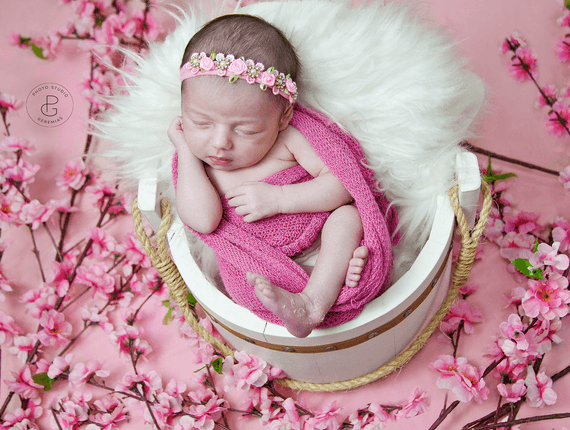 Newborn de Newborn Marjorie (15 dias0