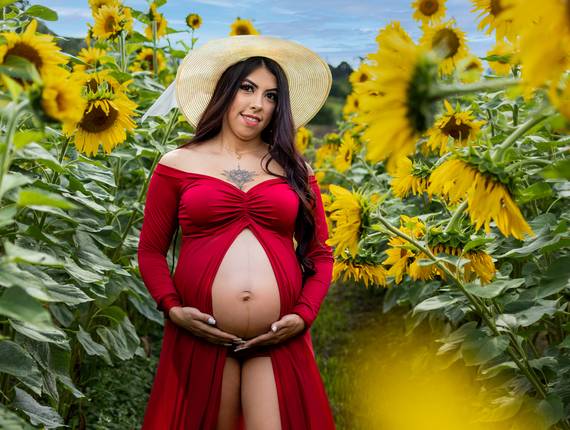 Gestante de Ensaio Gestante Joyce