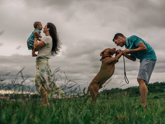 Smash de Felipe no safari