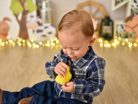 Smash the Cake de Fazendinha do José Felipe 