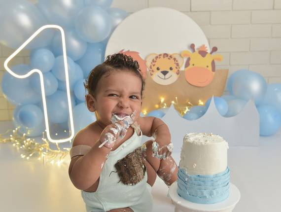 Smash the Cake de Miguel e a Arca de Noé