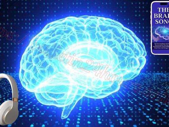 The Brain Song of The Brain Song IL: איך לממש את ההנחה הישראלית