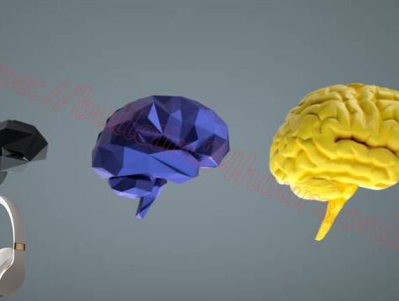 The Brain Song of The Brain Song IL: קובץ PDF ו-MP3