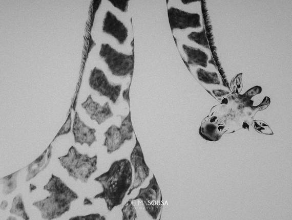 Gestante de Davi vem chegando