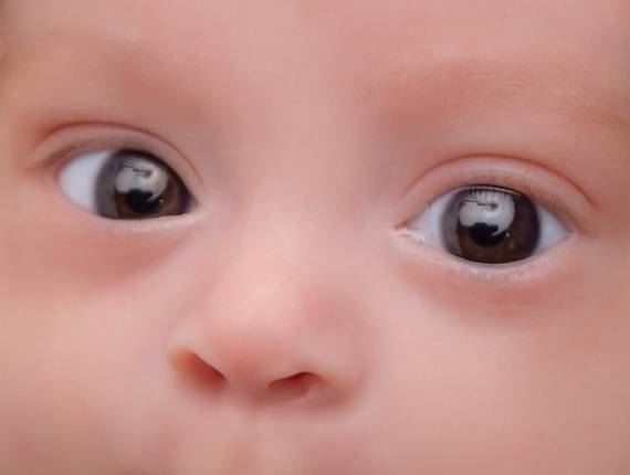 ENSAIOS DE NEWBORN de NEWBORN REBECA