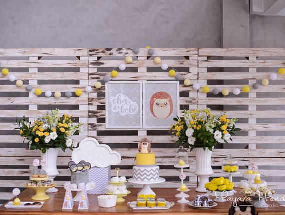Decoração de festas de Decoração de festas - chá de bebê porco espinho