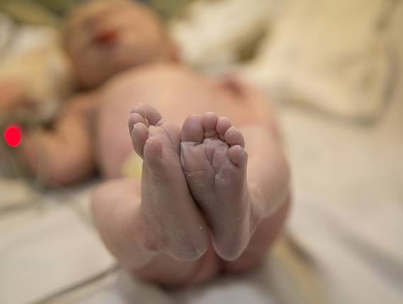 Parto de  A chegada do Noah!