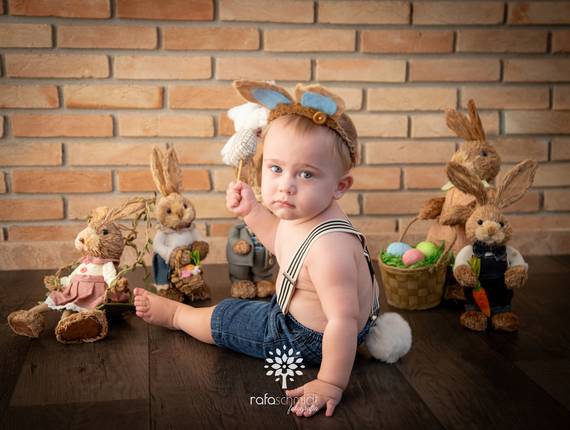 Temáticos de Coelhinho - José Roque