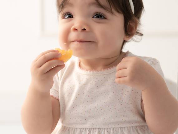 Comidinhas de Ellen - Introdução Alimentar