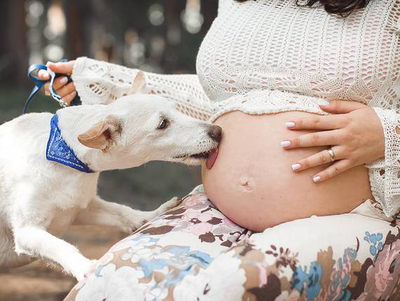 Gestante de Ju & Maurílio - Eric