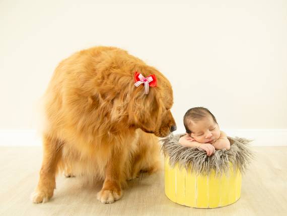 Newborn de Davi - 12 dias