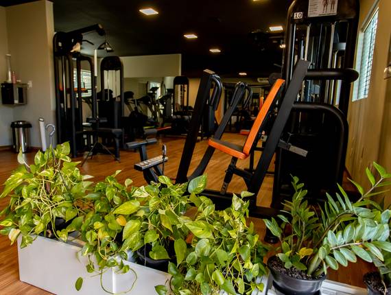 Corporativo de Andrea Lima Nutrição & Personal