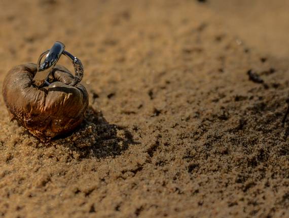 Casamento de Bem & Marina