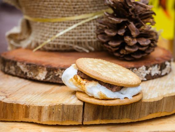 Ensaio Temático de S'mores Camping