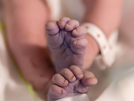 Partos de Parto - Antonella