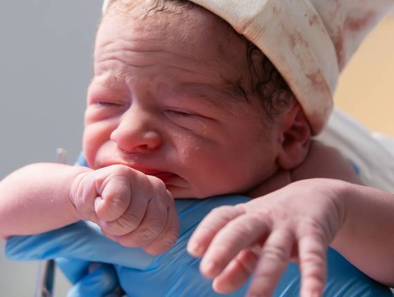 Partos de Parto • Enrico