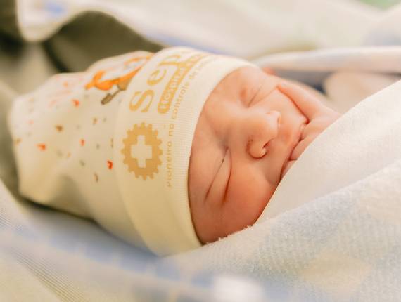 Partos de Parto • Zion