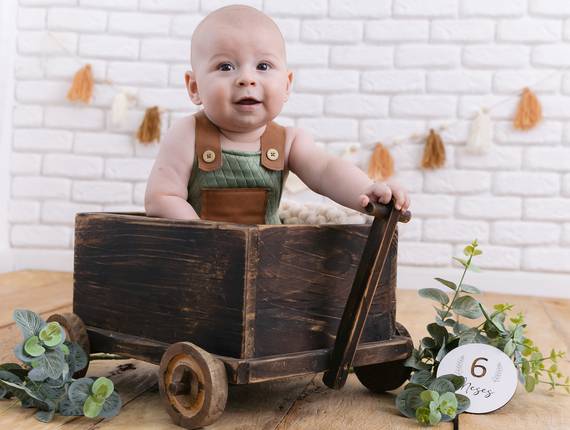 Acompanhamentos de Fernando • 06 meses