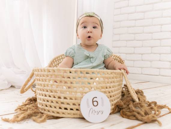 Acompanhamentos de Giovanna • 6 meses