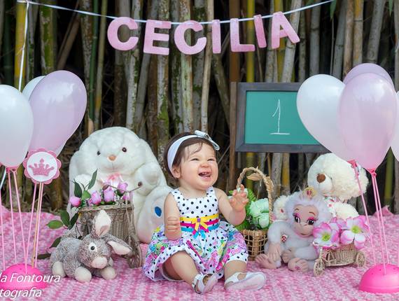 Aniversário Infantil de Primeiro ano da Cecília
