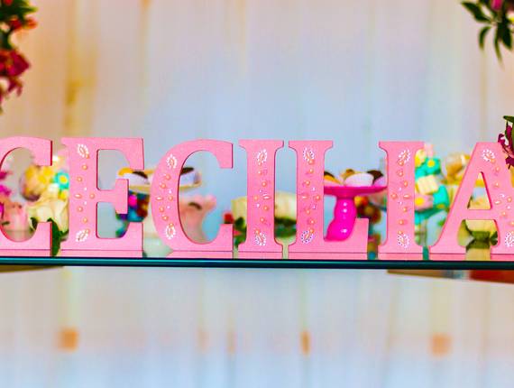 Aniversário Infantil de Primeiro ano da Cecília