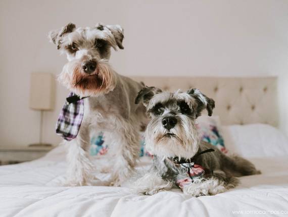 Cotidiano - Documental de Familila de Bubba y Gump