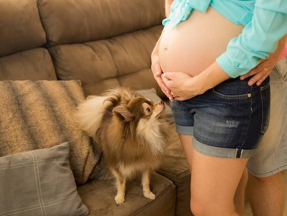 Gestacional de Ana Luiza & Daniel