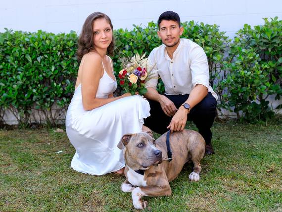 Casamento de Casamento Emily e Leonardo