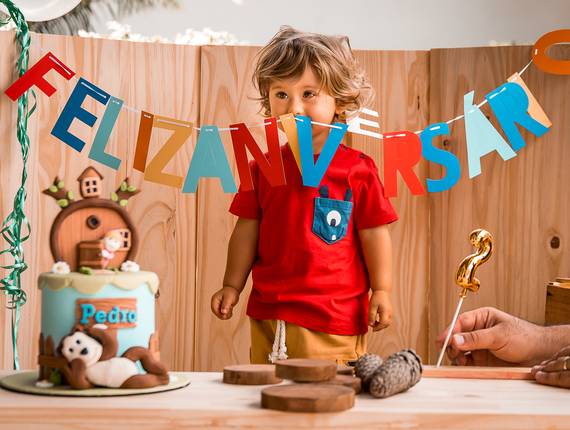 Festa Infantil de Aniversário Infantil | Pedro 2 anos