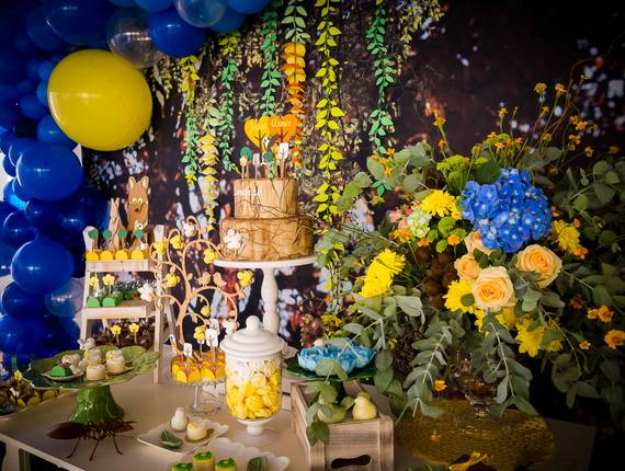 Eventos de Decoração Chá de fraldas - Cerrado
