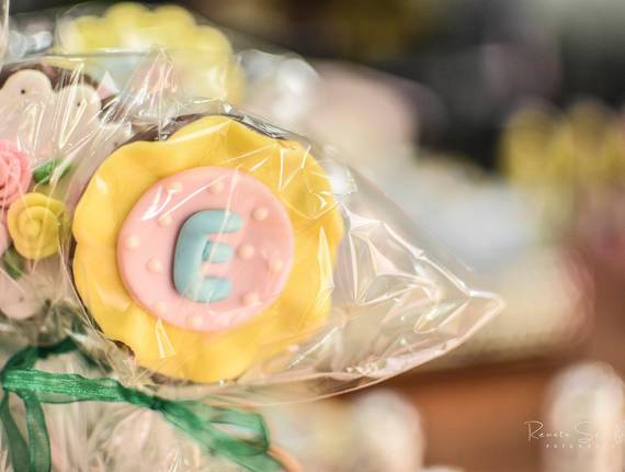 Festas de Elisa conta 1