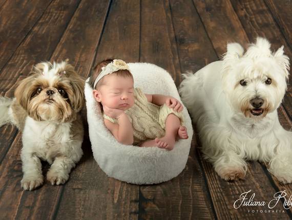 Newborn de Alice - SESSÃO DE FOTOS DE RECÉM NASCIDO